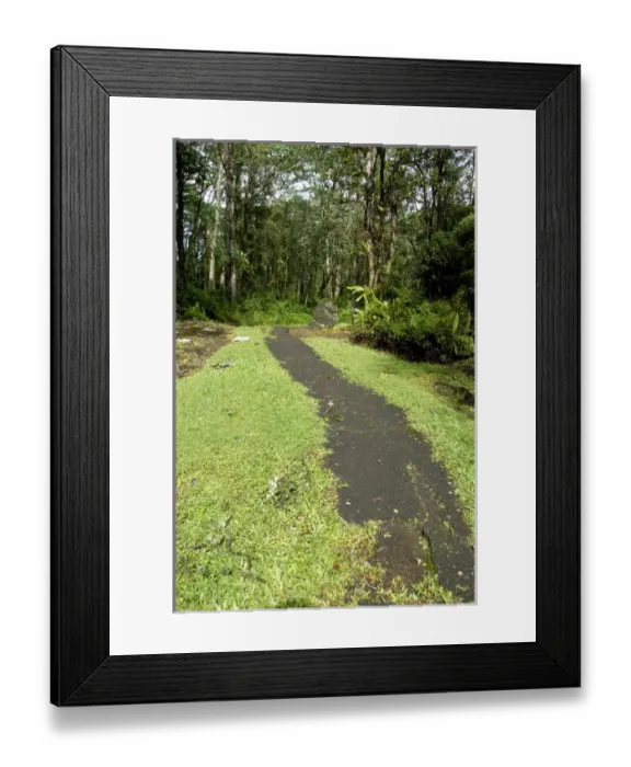 Framed Print : USA, Hawaii, The island of Hawaii, Hilo. Lava Tree State Park Framed Print : USA, Hawaii, The island of Hawaii, Hilo. Lava Tree State Park