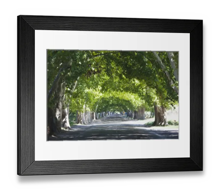 Framed Print : ARGENTINA, Mendoza Province, Lujan de Cuyo. Wine country road