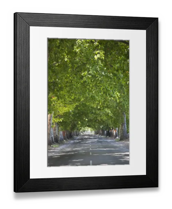 Framed Print : ARGENTINA, Mendoza Province, Lujan de Cuyo. Wine country road