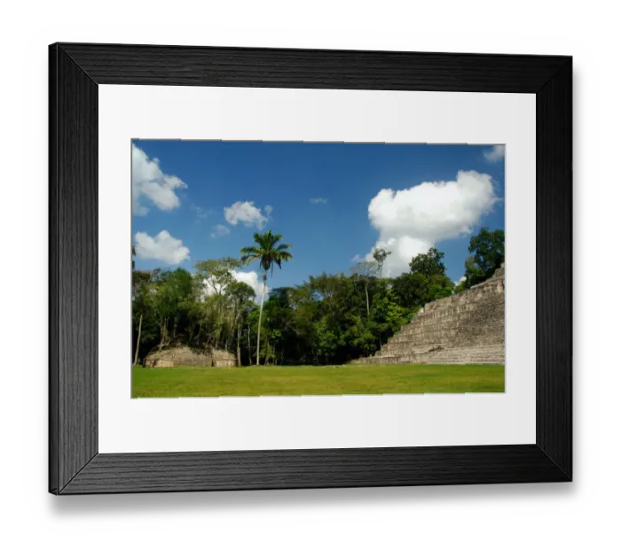 Framed Print : Central America, Belize, Chiquibul Forest Reserve, Caracol. Caracol, Spanish for snail Framed Print : Central America, Belize, Chiquibul Forest Reserve, Caracol. Caracol, Spanish for snail