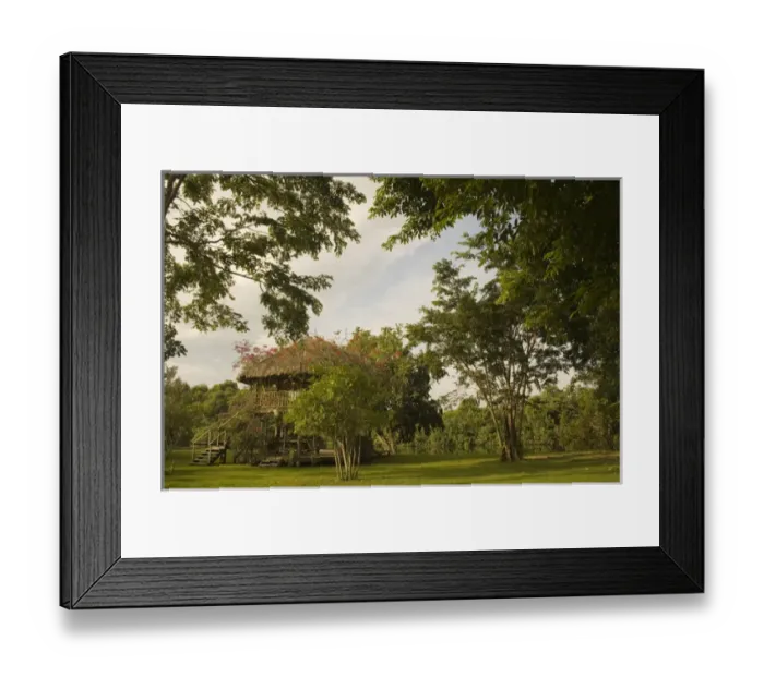 Framed Print : Thatched palapa in clearing near forest, Jaguar Reef Lodge, Hopkins, Stann Creek District Framed Print : Thatched palapa in clearing near forest, Jaguar Reef Lodge, Hopkins, Stann Creek District