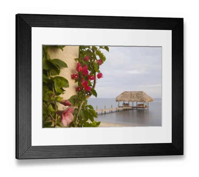 Framed Print : Bougainvilla vine on pillar, and pier with thatched palapa jutting into Caribbean Sea Framed Print : Bougainvilla vine on pillar, and pier with thatched palapa jutting into Caribbean Sea