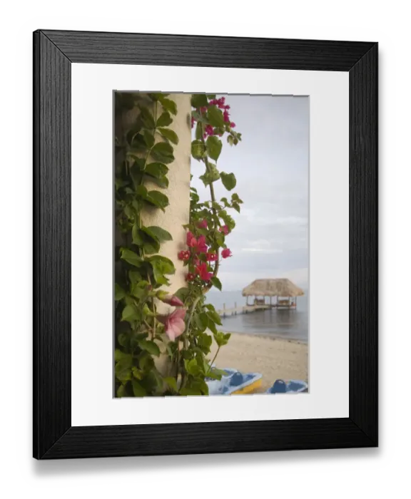Framed Print : Bougainvilla vine on pillar, and pier with thatched palapa jutting into Caribbean Sea Framed Print : Bougainvilla vine on pillar, and pier with thatched palapa jutting into Caribbean Sea