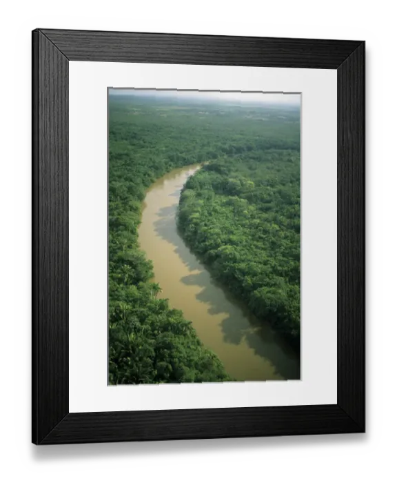 Framed Print : Belize, aerial of Belize River and lowland forest Framed Print : Belize, aerial of Belize River and lowland forest