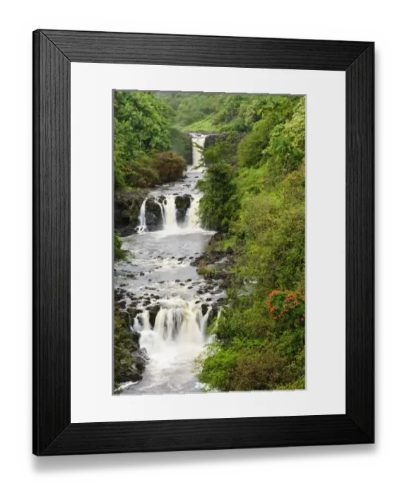 Framed Print : Big Island, Hawaii. Umauma Falls World Botanical Garden Hilo The Big Island Hawaii