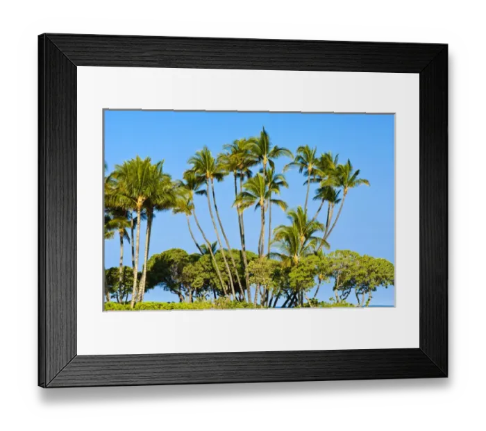 Framed Print : Palm trees Big Island Hawaii