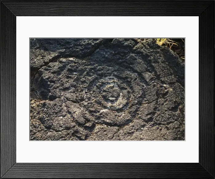Framed Print : Big Island, Hawaii. Petroglyphs, Big Island Hawaii Framed Print : Big Island, Hawaii. Petroglyphs, Big Island Hawaii