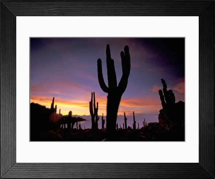 Framed Print : South America, Bolivia, Uyuni. Isla de Pescado