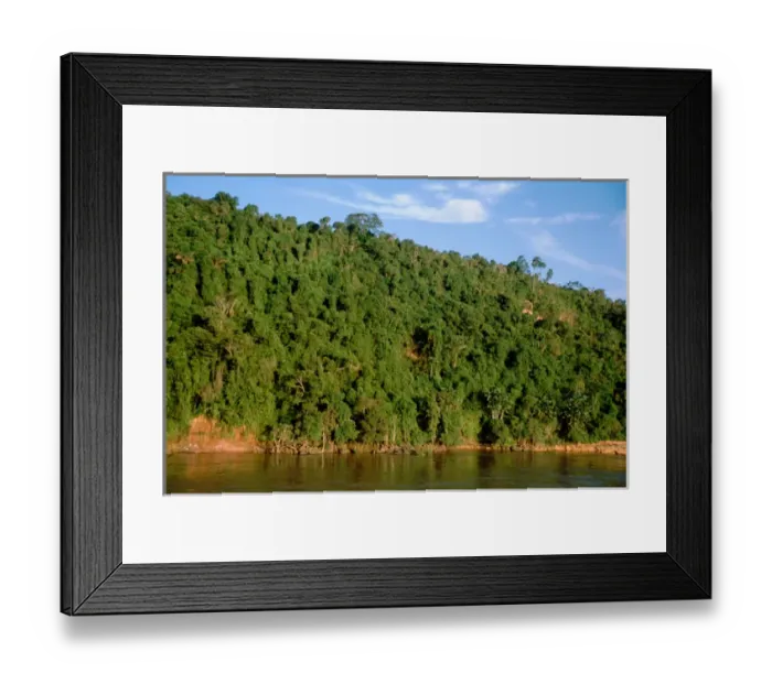 Framed Print : South America, Brazil, Amazon, Amazon River. Dense rainforest canopy along the banks