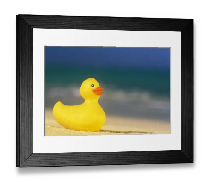 Framed Print : USA, Hawaii. Rubber duck on beach Framed Print : USA, Hawaii. Rubber duck on beach