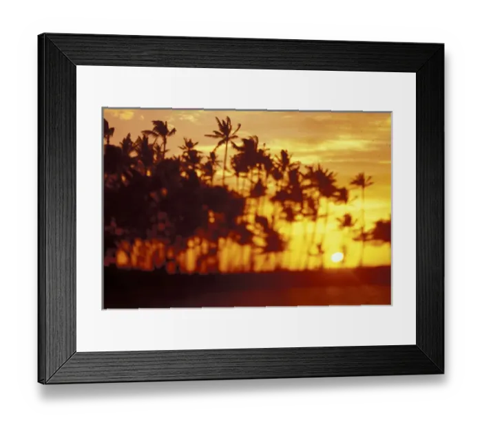 Framed Print : Hawaii Palms at sunrise Framed Print : Hawaii Palms at sunrise