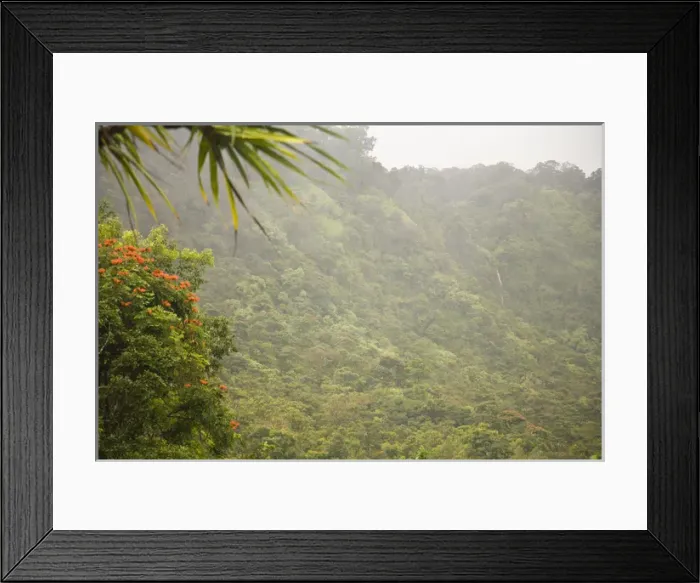 Framed Print : Maui, Hawaii, USA