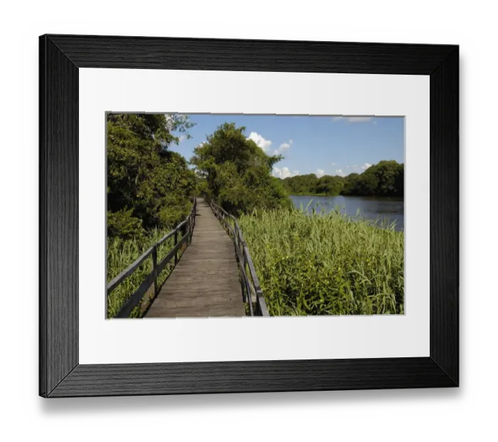 Framed Print : Posada de Lontra Hotel Southern Pantanal BRAZIL. South America Framed Print : Posada de Lontra Hotel Southern Pantanal BRAZIL. South America