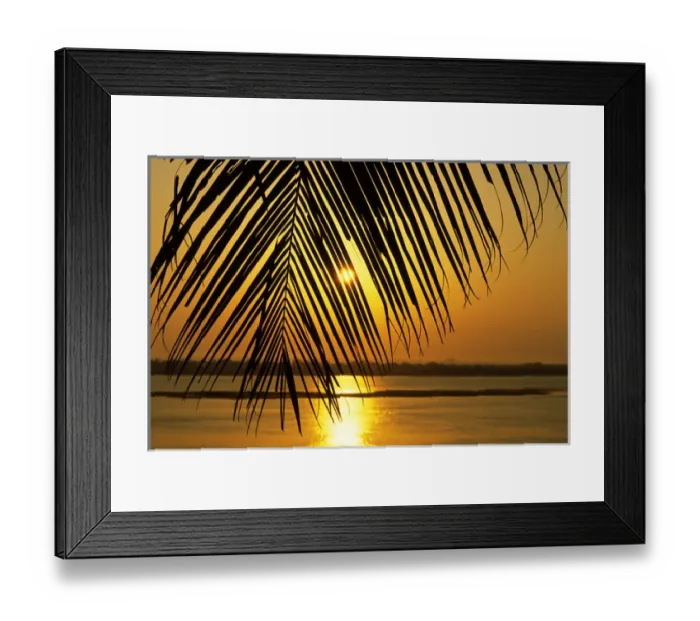 Framed Print : Brazil. Sunset; sky and water painted orange; palm leaf in the foreground Framed Print : Brazil. Sunset; sky and water painted orange; palm leaf in the foreground