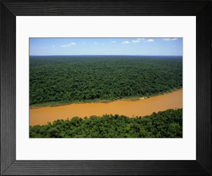 Framed Print : Brazil - Paraguay border. Aerial view of the rainforest canopy and the Paraguay river Framed Print : Brazil - Paraguay border. Aerial view of the rainforest canopy and the Paraguay river