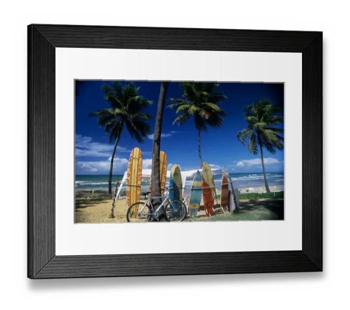 Framed Print : Costa do Sauipe, Brazil. Malibu surf boards and a bicycle propped up next to palm Framed Print : Costa do Sauipe, Brazil. Malibu surf boards and a bicycle propped up next to palm