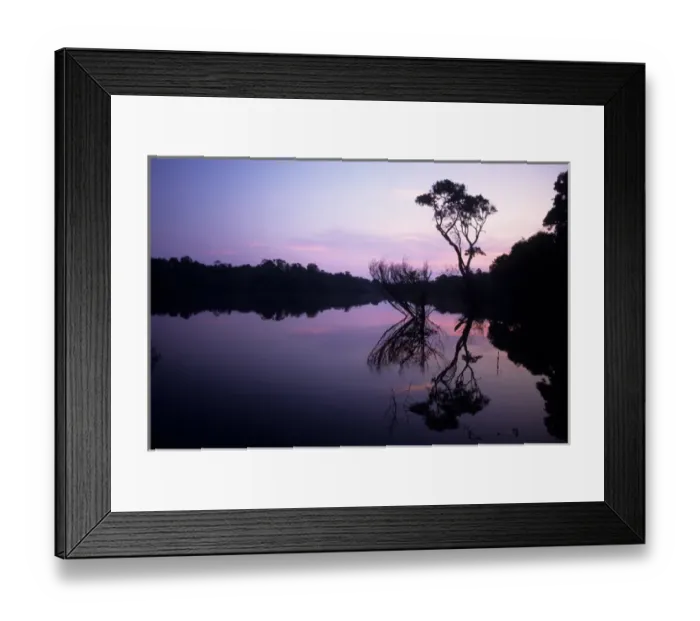 Framed Print : Anavilhanas, Brazil. Still peaceful evening view of the Rio Negro river at high water Framed Print : Anavilhanas, Brazil. Still peaceful evening view of the Rio Negro river at high water