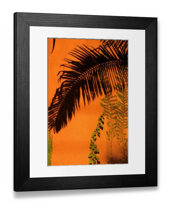 Framed Print : Sao Paulo, Brazil. Shadow of a palm leaf on a terracotta wall, green leaves of climbing Framed Print : Sao Paulo, Brazil. Shadow of a palm leaf on a terracotta wall, green leaves of climbing