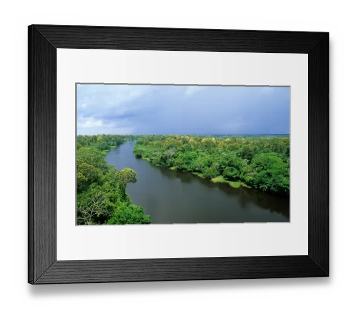 Framed Print : Amazonas State, Brazil. High view of a tributary of the Rio Negro with flowering trees Framed Print : Amazonas State, Brazil. High view of a tributary of the Rio Negro with flowering trees