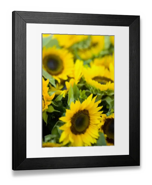 Framed Print : Weekly Friday fruit & vegetable market, Southern Zone of Rio De Janeiro, Praca General Osorio Framed Print : Weekly Friday fruit & vegetable market, Southern Zone of Rio De Janeiro, Praca General Osorio
