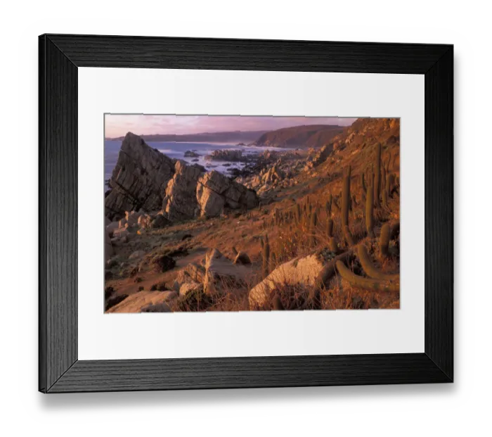Framed Print : South America, Chile, Valparaiso Coast of El Yeco at sunset