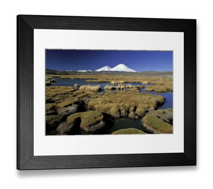 Framed Print : South America, Chile, Altiplano, Lauca National Park. Payachatas Volcanos and Cofedal Framed Print : South America, Chile, Altiplano, Lauca National Park. Payachatas Volcanos and Cofedal