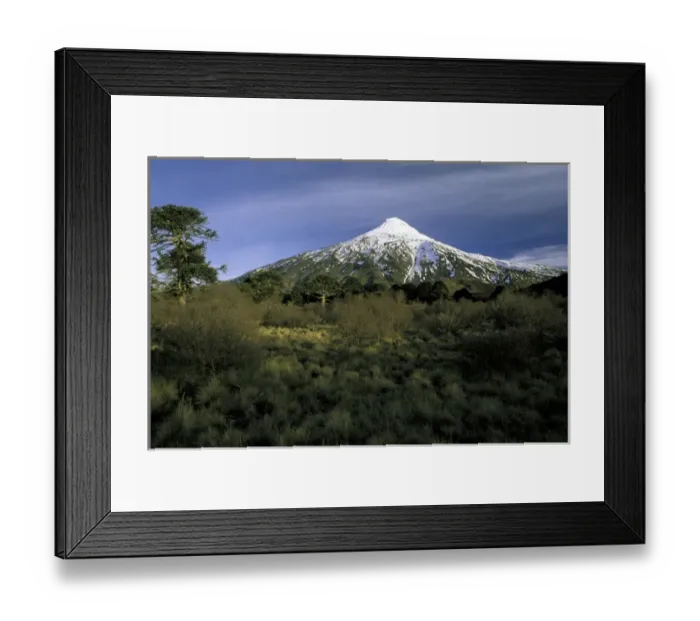 Framed Print : South America, Chile, La Araucania, Villarrica National Park. Lanin Volcano
