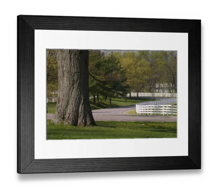 Framed Print : Winding fences, Kentucky Horse Park, Lexington, Kentucky