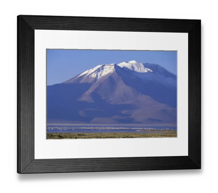 Framed Print : South America, Chile, Reserva Nacional Las Vicunas Congregation of Chilean flamingoes Framed Print : South America, Chile, Reserva Nacional Las Vicunas Congregation of Chilean flamingoes