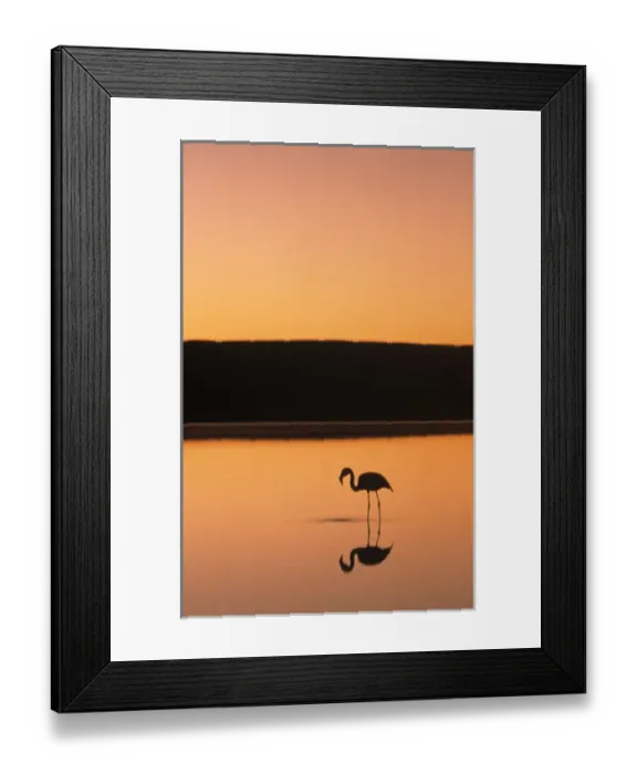 Framed Print : North Africa, Spanish Morocco, Ceuta. View of the Rock of Gibraltar across the Mediterranean