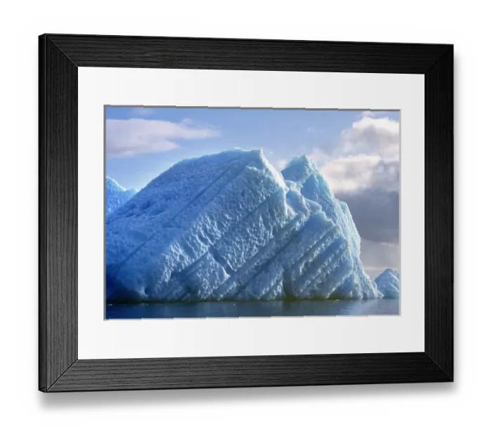 Framed Print : South America, Chile, San Rafael Lagoon NP. Wind and weather leave their marks Framed Print : South America, Chile, San Rafael Lagoon NP. Wind and weather leave their marks