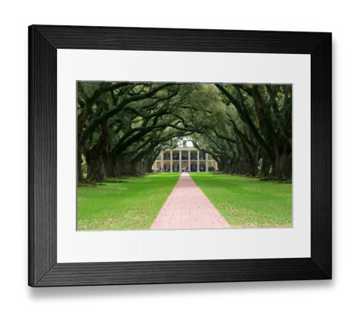 Framed Print : N. A. USA, Louisiana, New Orleans. Oak Alley Plantation Framed Print : N. A. USA, Louisiana, New Orleans. Oak Alley Plantation