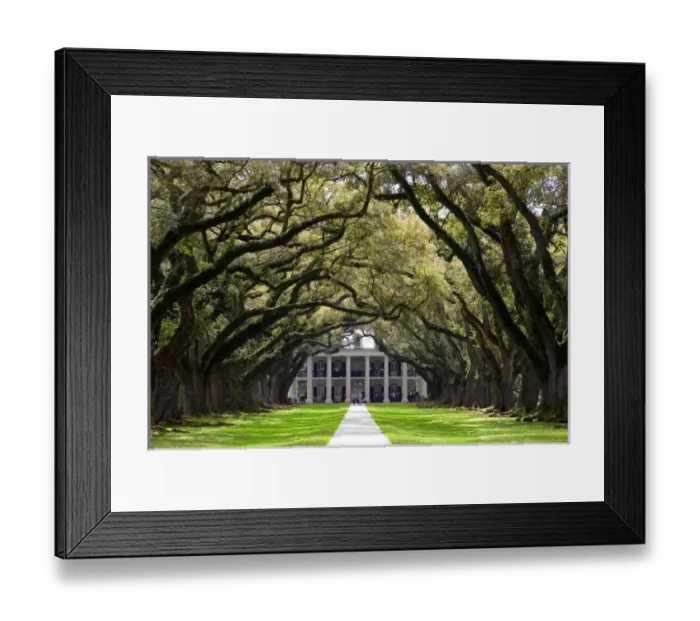 Framed Print : N. A. USA, Louisiana, New Orleans. Oak Alley Plantation