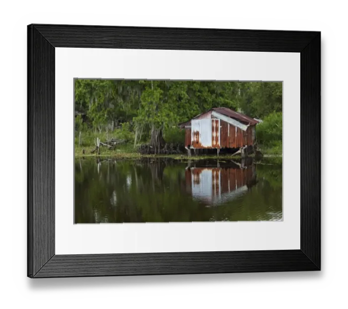 Framed Print : USA, Louisiana, New Orleans, Old fishing shack in cypress forest lining bayou along Framed Print : USA, Louisiana, New Orleans, Old fishing shack in cypress forest lining bayou along