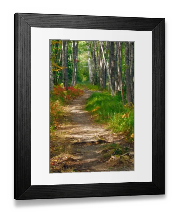 Framed Print : NA, USA, Maine. Jessup trail in Acadia National Park Framed Print : NA, USA, Maine. Jessup trail in Acadia National Park