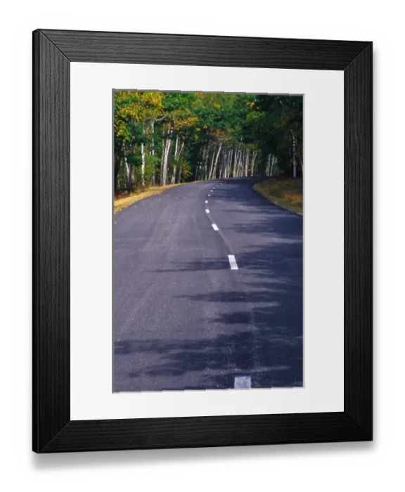 Framed Print : NA, USA, Maine. Road thru Acadia National Park Framed Print : NA, USA, Maine. Road thru Acadia National Park