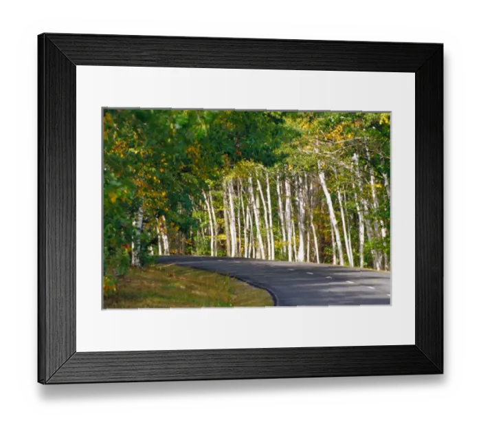 Framed Print : NA, USA, Maine. Road thru Acadia National Park Framed Print : NA, USA, Maine. Road thru Acadia National Park