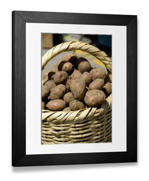 Framed Print : South America, Ecuador. Famous Otavalo Market which dates back to pre-Inca times