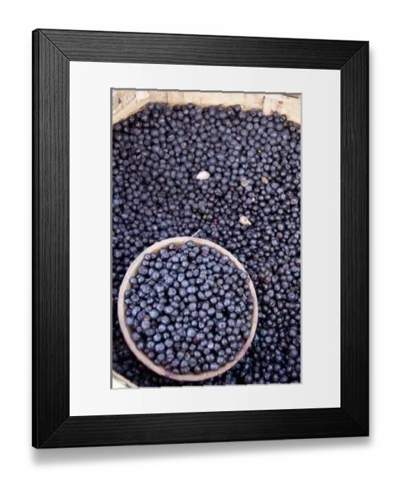 Framed Print : South America, Ecuador. Famous Otavalo Market which dates back to pre-Inca times Framed Print : South America, Ecuador. Famous Otavalo Market which dates back to pre-Inca times