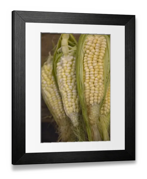 Framed Print : South America, Ecuador. Famous Otavalo Market which dates back to pre-Inca times Framed Print : South America, Ecuador. Famous Otavalo Market which dates back to pre-Inca times