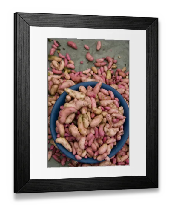 Framed Print : South America, Ecuador. Famous Otavalo Market which dates back to pre-Inca times Framed Print : South America, Ecuador. Famous Otavalo Market which dates back to pre-Inca times