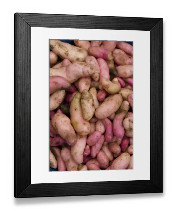 Framed Print : South America, Ecuador. Famous Otavalo Market which dates back to pre-Inca times Framed Print : South America, Ecuador. Famous Otavalo Market which dates back to pre-Inca times