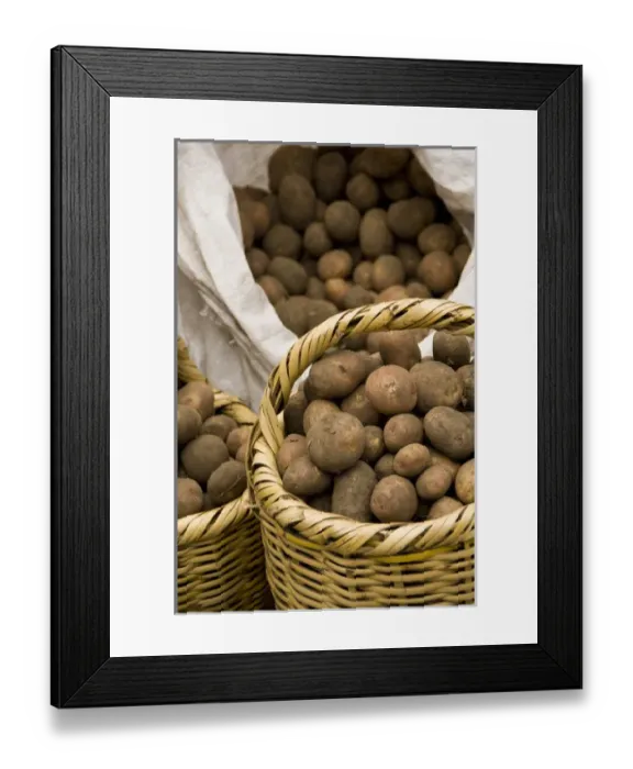 Framed Print : South America, Ecuador. Famous Otavalo Market which dates back to pre-Inca times Framed Print : South America, Ecuador. Famous Otavalo Market which dates back to pre-Inca times
