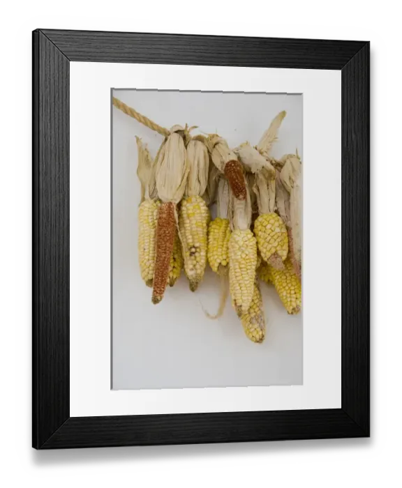 Framed Print : South America, Ecuador. Highland town of Otavalo. Historic Hacienda Cusin (aka Casa Cusin), est Framed Print : South America, Ecuador. Highland town of Otavalo. Historic Hacienda Cusin (aka Casa Cusin), est