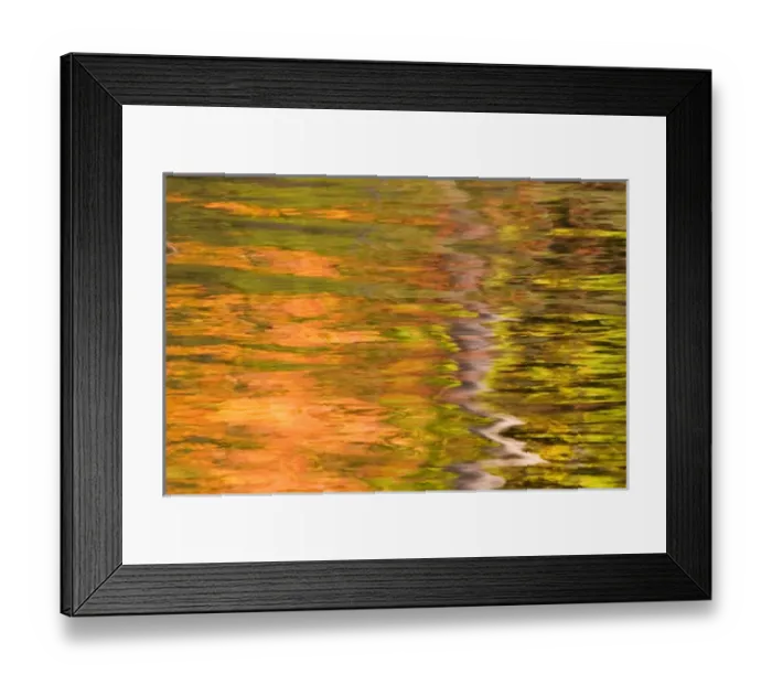 Framed Print : Maine. Acadia NP, Refections of fall foliage and birch tree in pond Framed Print : Maine. Acadia NP, Refections of fall foliage and birch tree in pond