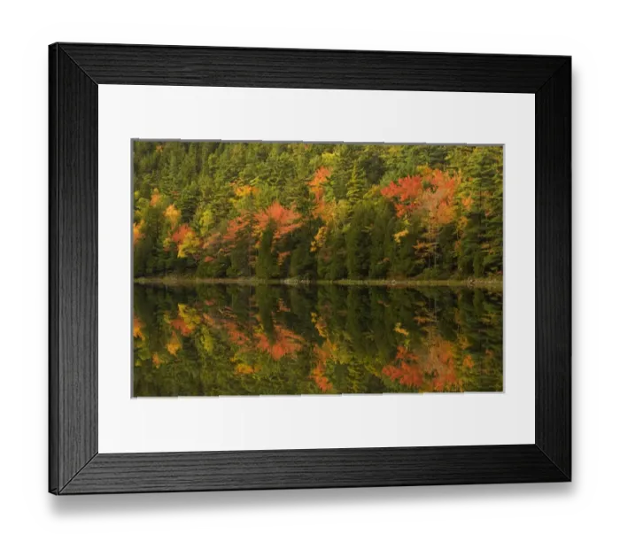 Framed Print : USA; Maine; Acadia NP. Fall reflections at Bubble Pond Framed Print : USA; Maine; Acadia NP. Fall reflections at Bubble Pond