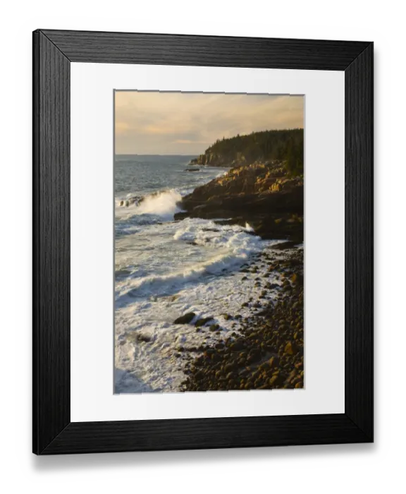 Framed Print : USA; Maine; Acadia National Park; Morning light along the coast Framed Print : USA; Maine; Acadia National Park; Morning light along the coast