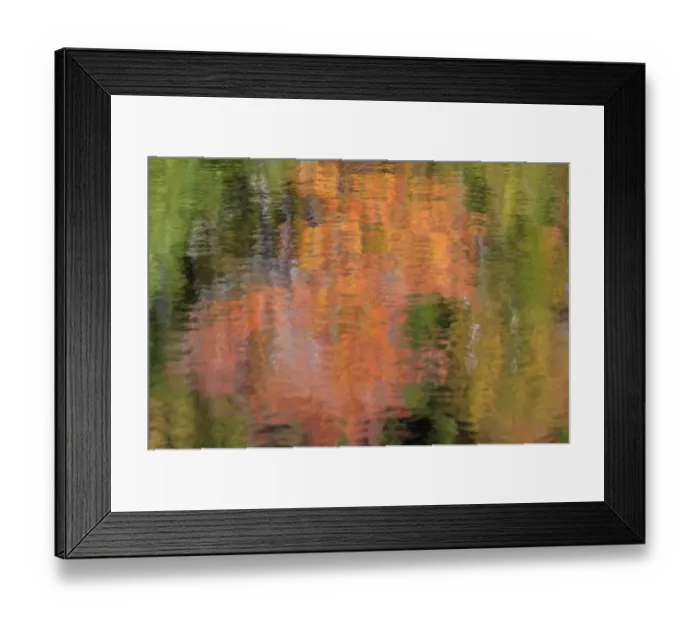 Framed Print : North America, USA, Maine. Refections in a pond Framed Print : North America, USA, Maine. Refections in a pond