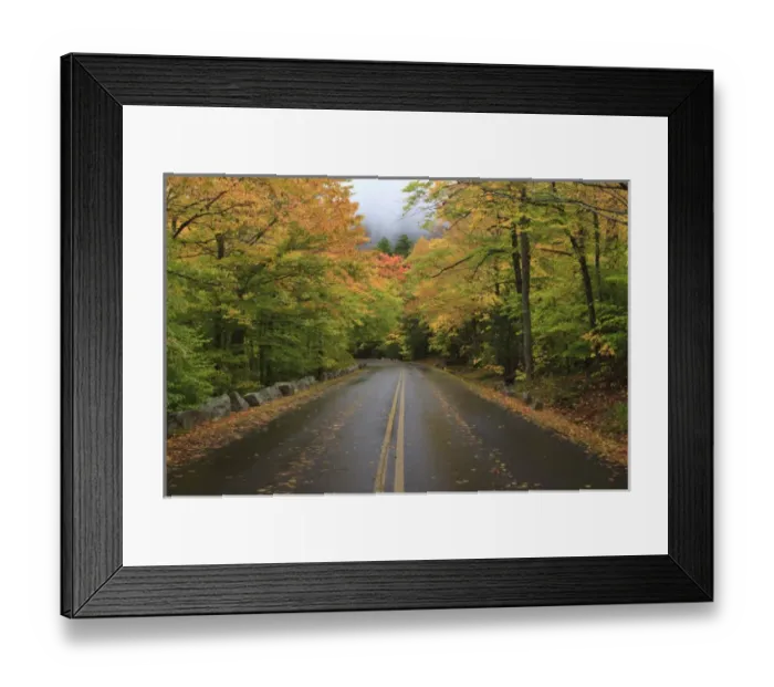 Framed Print : North America, USA, Maine. Road through Acadia National Park in the fall