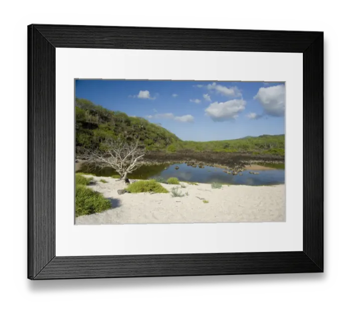 Framed Print : South America, Ecuador, Galapagos, San Cristobal Island (aka Chatham). Playa Ochoa aka Ochoa Beach Framed Print : South America, Ecuador, Galapagos, San Cristobal Island (aka Chatham). Playa Ochoa aka Ochoa Beach